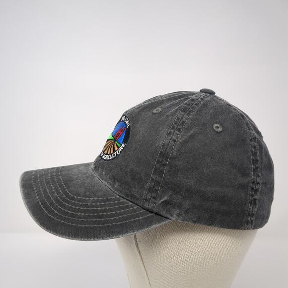 Idaho State Department of Agriculture Baseball Cap Gray One Size Port Authority - Picture 3 of 8